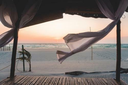 Hotel Club Monet Beachfront Resort By Cocotel - Fully Vaccinated Staff