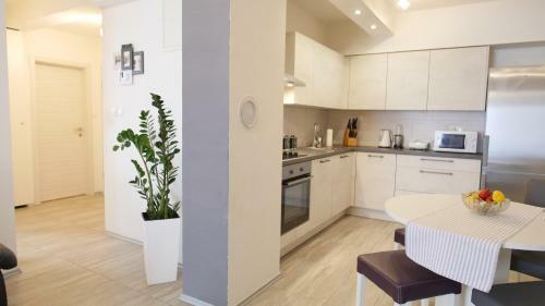 Spacious Apartment