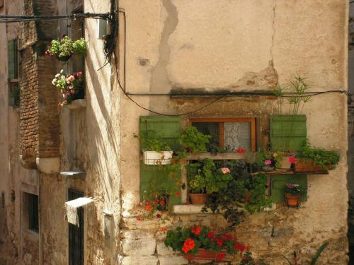 Apartment Laste