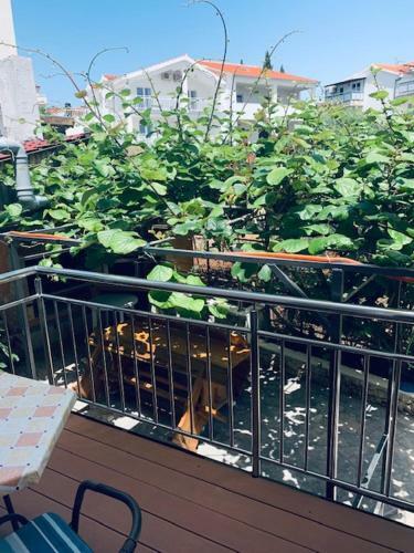 Apartmani Cubela