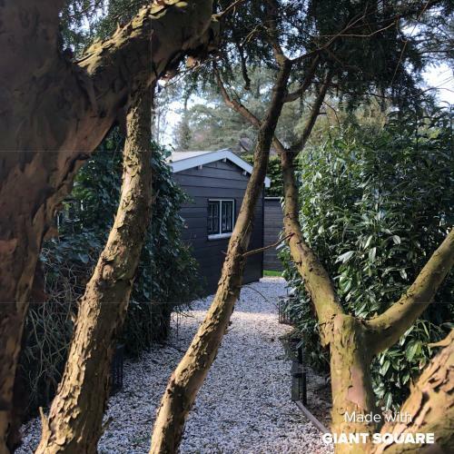 Nieuw Schoorl Seasons Garden House