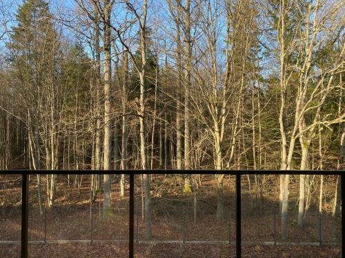 Apartament Nieznany B�r