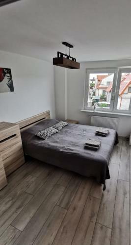 Apartament Highway To Hel