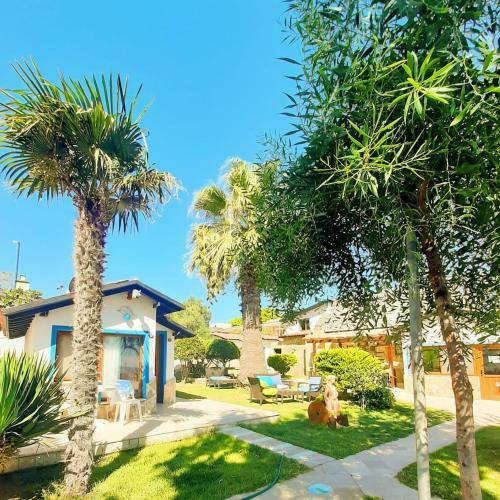 Bed & Breakfast Palm Beach Bungalow