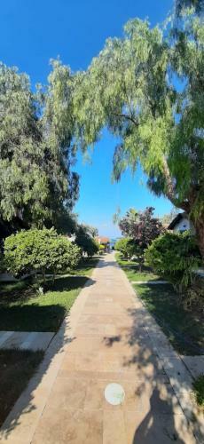 Bed & Breakfast Palm Beach Bungalow