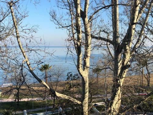 Apartamento Yalova_merkez