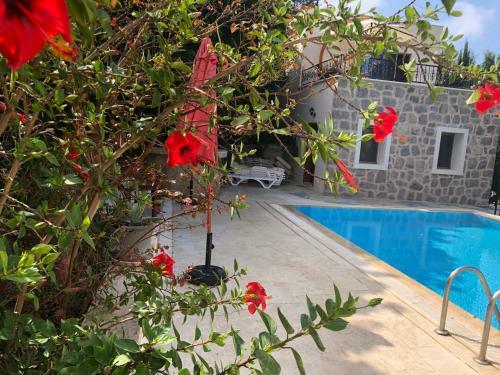 Villa Tibet