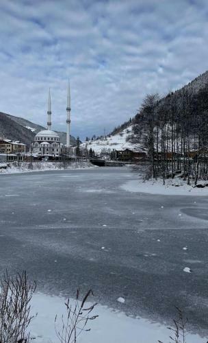 Villa Uzung�l