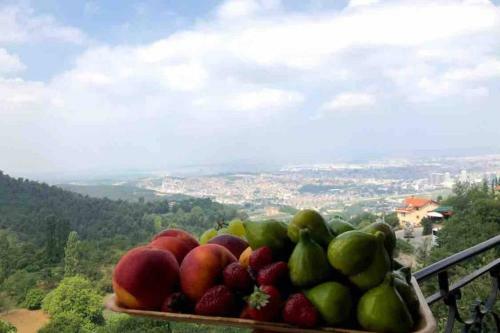 Manzaral? Daire - Nature And City View Apartment