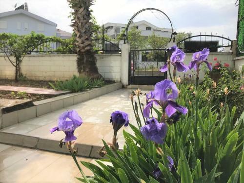 Apartamento Wonderful Ground Floor Private Home In Central Location Ticks Every Box