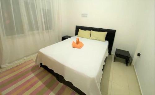 Apartamento Wonderful Ground Floor Private Home In Central Location Ticks Every Box