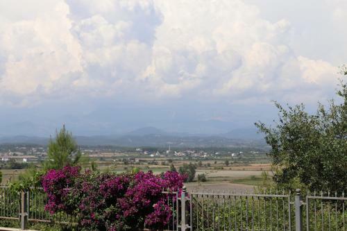 Apartamento Four Seasons. Ilicia. Side