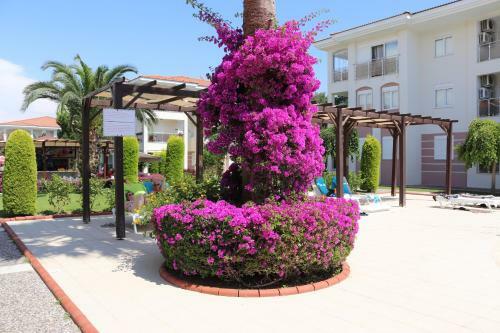 Apartamento Four Seasons. Ilicia. Side