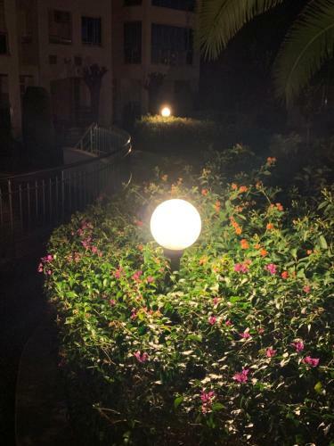 Apartamento Four Seasons. Ilicia. Side