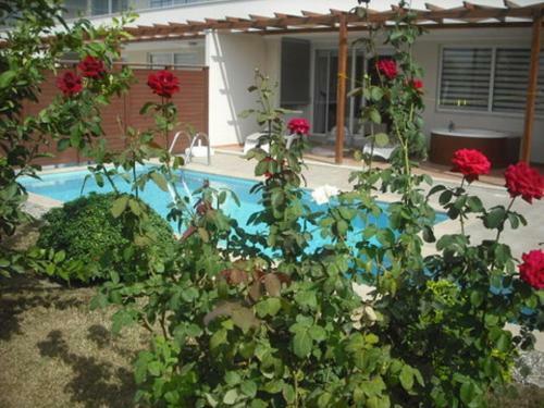 Apartamento Babylon Bliss 3 Bed 3 Bath Duplex Home With Private Pool