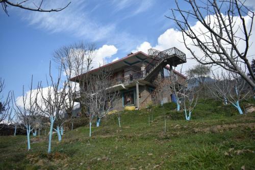Apartamento Jungle Valley