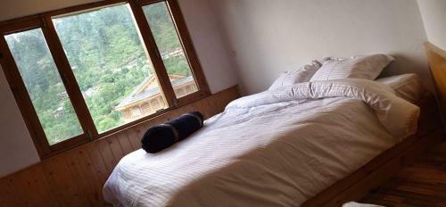 Robinhood Travel Hostel