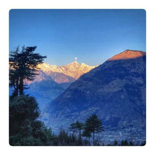 Rustling Pines Cottage Manali