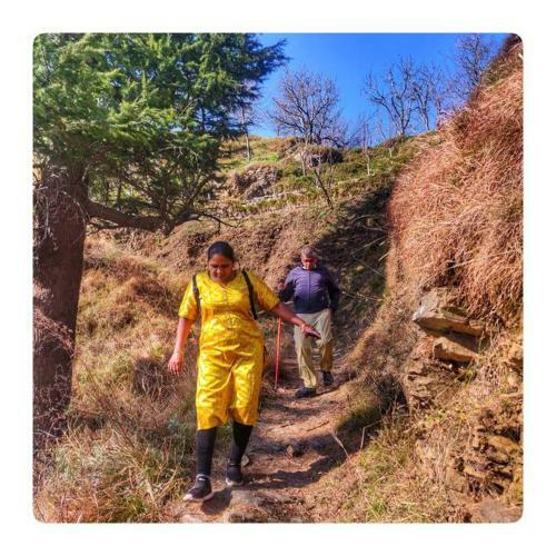 Rustling Pines Cottage Manali