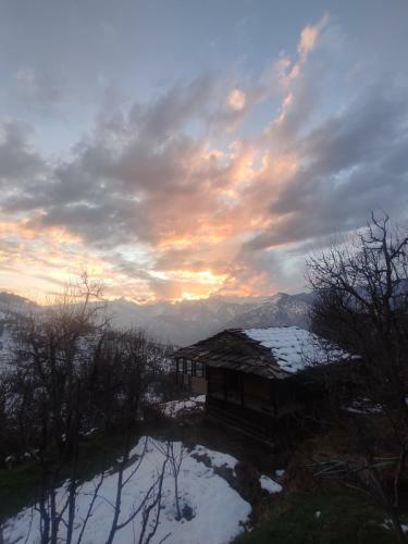 Before Sunrise Cabin