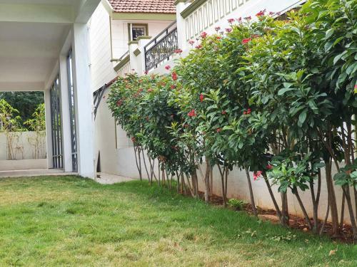 Apartamento Rent On Comfort - Mysore 3bhk Flat