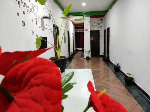 Hotel K F International