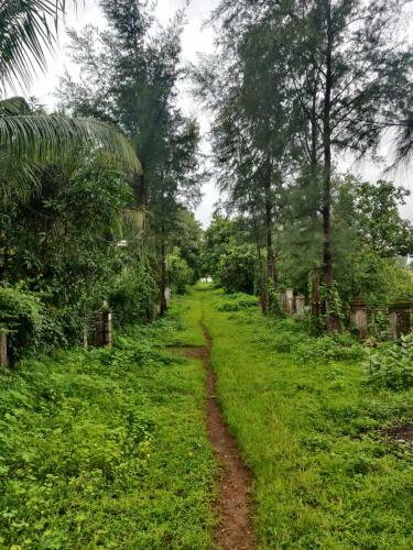 Villa Divine Roots Luxury Stay