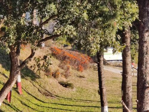 Hotel Luxus Nainital Adventure Park & Resort
