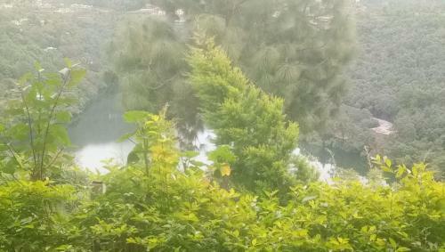 Hotel Luxus Nainital Adventure Park & Resort