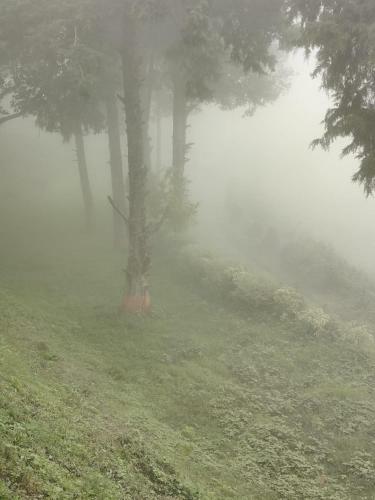 Hotel Luxus Nainital Adventure Park & Resort