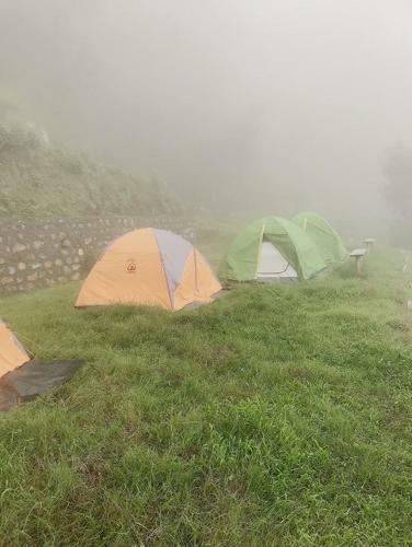 Serenity Camps, Mussourie