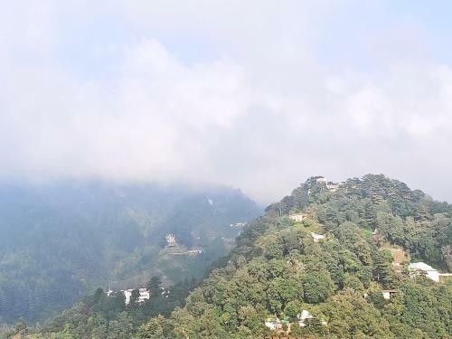 Hotel Amar