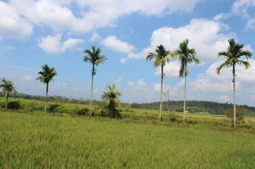 Wayal Wayanad Twin Villa