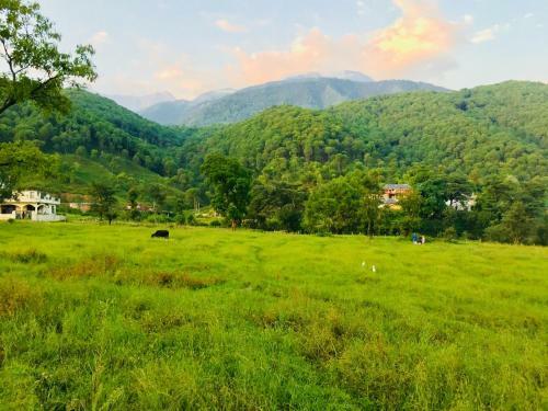Apartamento Lohna Heights , Palampur