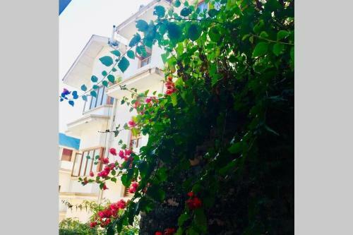 Apartamento Lohna Heights , Palampur