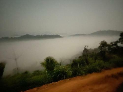 Lodge Wonder Hill Wayanad Resort