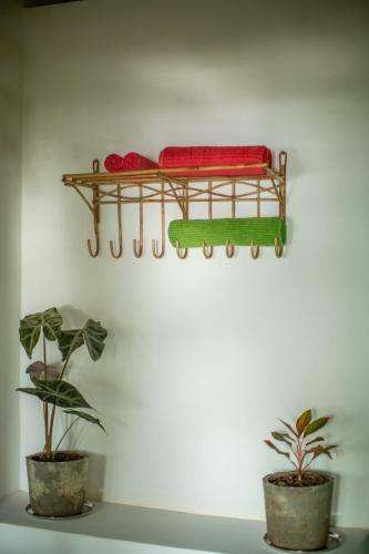 Hotel Casa Jaali