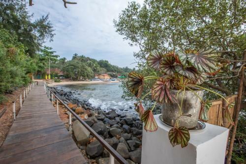 Hotel Casa Jaali