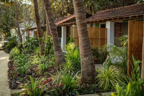 Hotel Casa Jaali