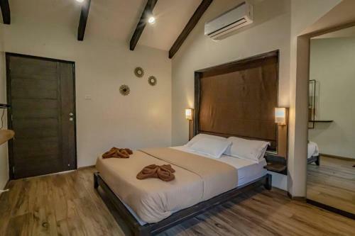 Leisurely Olivia, Panchgani