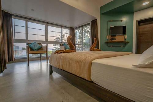 Leisurely Olivia, Panchgani
