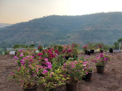 Villa Monsoon Mist Resort