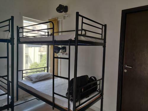 Albergue A Sleepy Fox New Delhi