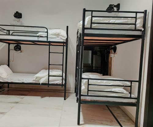 Albergue A Sleepy Fox New Delhi