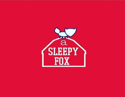 Albergue A Sleepy Fox New Delhi