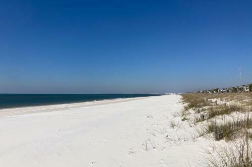Reel Vitamin Sea