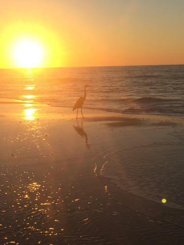 Apartamento Sunset Harbor Condo For 2 - Top Floor 1-309 - Navarre Beach