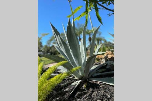 Mod Agave-close To The Beach/heated Pool-serenity