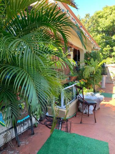Habitaci�n C�ntrica Calle 8 Miami