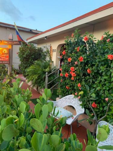 Habitaci�n C�ntrica Calle 8 Miami